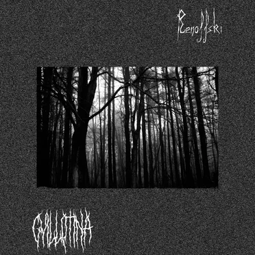 Gvillotina x Renoffski