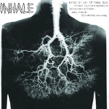 Wake n Bake by Inhale - album cover