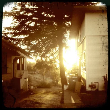 Light Out by The John Whites - album cover