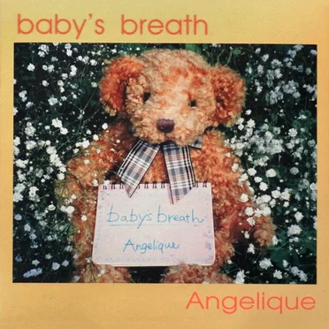 baby's breath