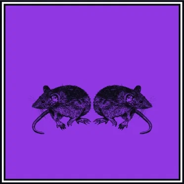 Til rotterne by Peter Sommer - album cover