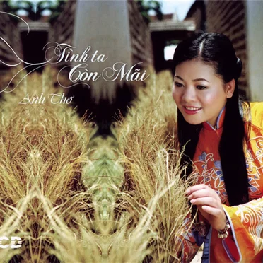 Tình ta còn mãi