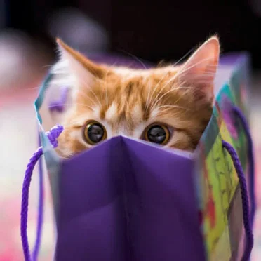 Peek a Boo