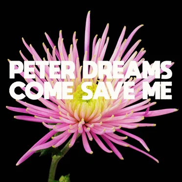 Peter Dreams