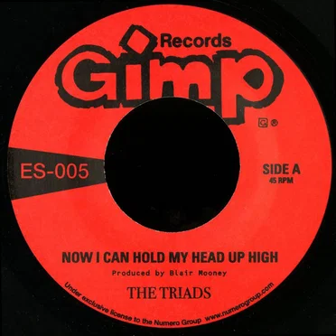 Now I Can Hold My Head Up High by Triads - album cover
