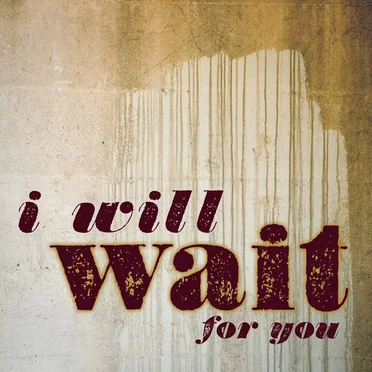 I Will Wait for You