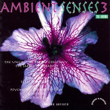 Ambient Senses 3: The Aroma by Various Artists - album cover