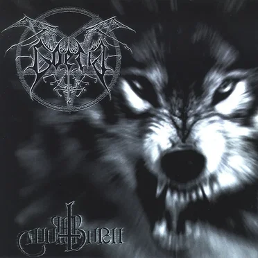 Wolfthorn