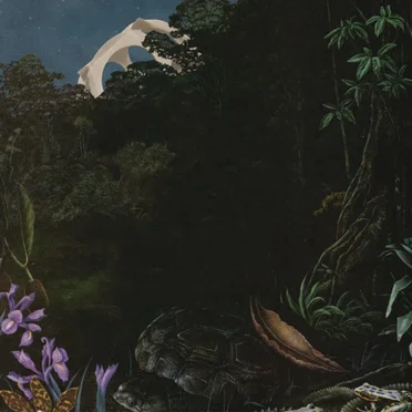 The Detail