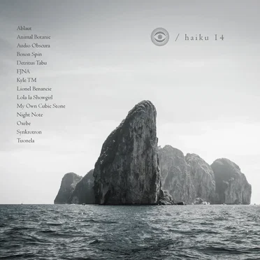 Haiku 14 by Various Artists - album cover