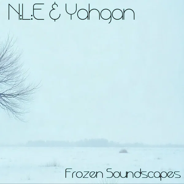 Frozen Soundscapes