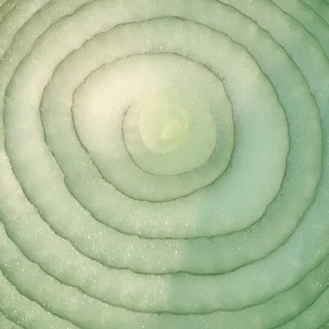 2 Green Onions (Blur vs. Two Tone Mods)