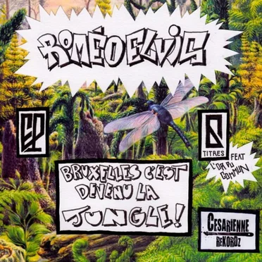 BRUXELLES C’EST DEVENU LA JUNGLE !