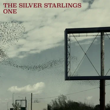 The Silver Starlings