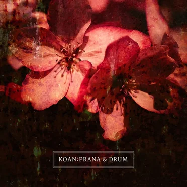 Prana and Drum by Koan - album cover