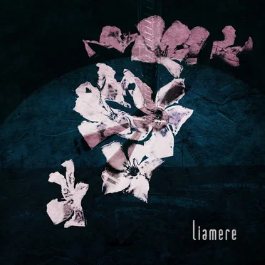 Liamere by Liamere - album cover