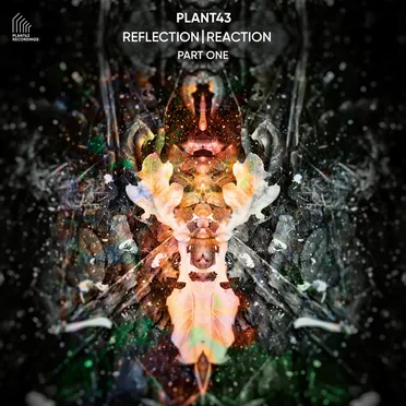 Reflection | Reaction – Part One