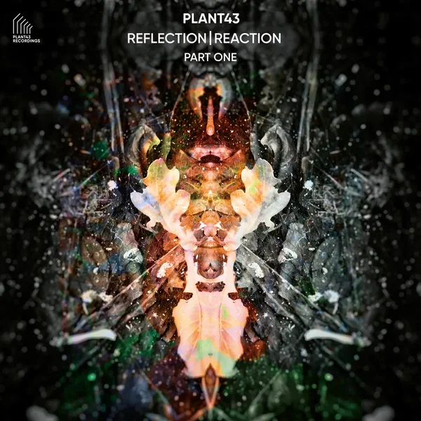 Reflection | Reaction – Part One