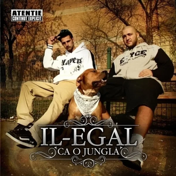 Ca o junglă