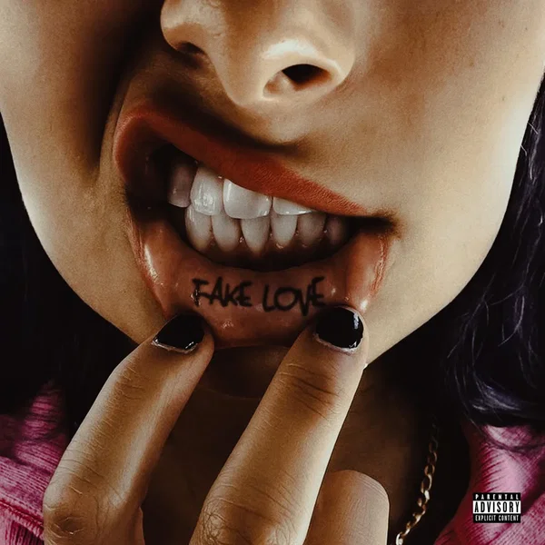 Fake Love
