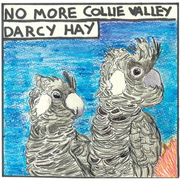 No More Collie Valley by Darcy Hay - album cover