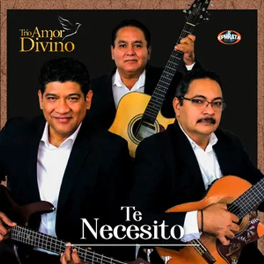 Te necesito by Trío Amor Divino - album cover