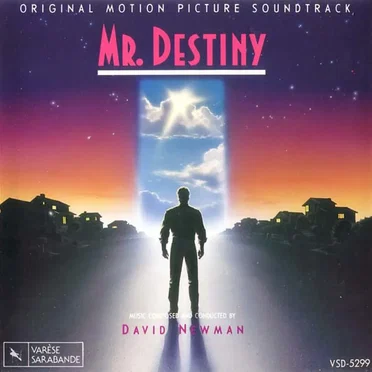 Mr. Destiny