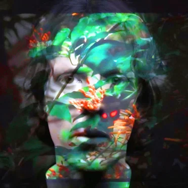 The Optimyst by The Forrest Williams Democracy - album cover