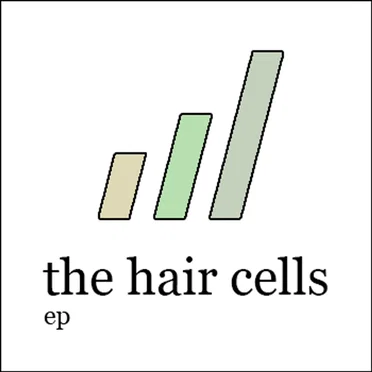 the hair cells