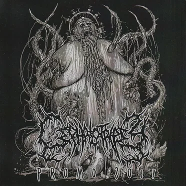 Promo 2011