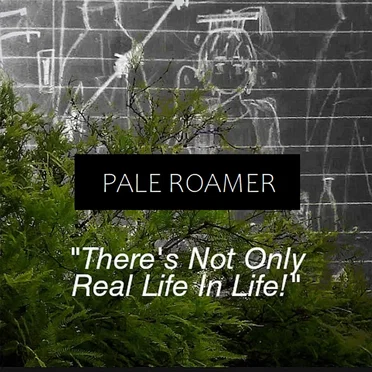 There's Not Only Real Life In Life!