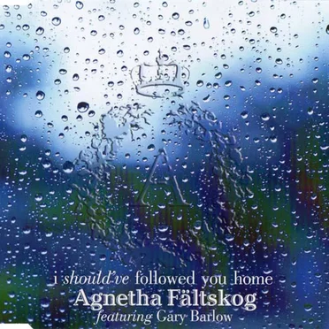 I Should’ve Followed You Home