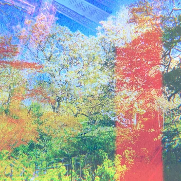 In Dreams