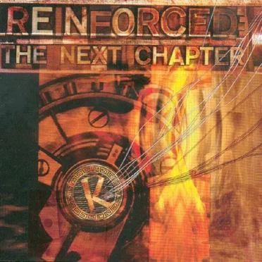 Reinforced: The Next Chapter by Various Artists - album cover