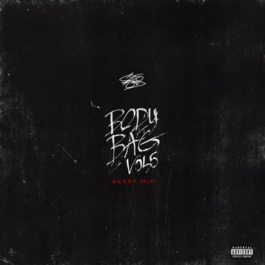 Body Bag 5 by Ace Hood - album cover