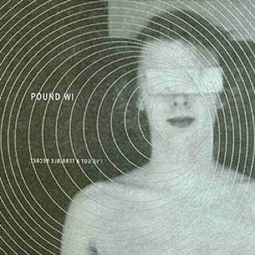 I've Got a Terrible Secret by Pound WI - album cover