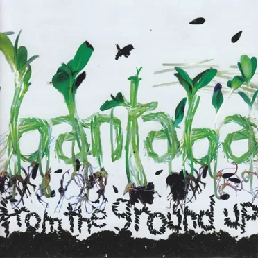 From the Ground Up by bantaba - album cover