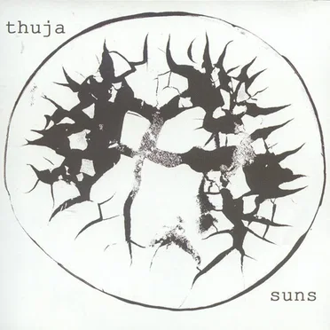 Suns