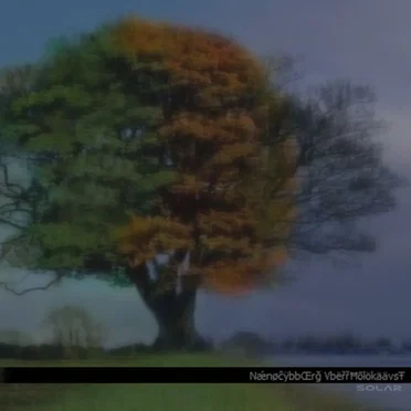 Solar by NǽnøĉÿbbŒrğ VbëřřĦōlökäävsŦ - album cover
