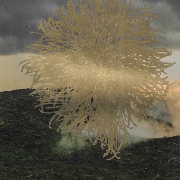 they fall because they must fall / eyes burn bright in divine wreckage