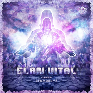Elan Vital by Various Artists - album cover