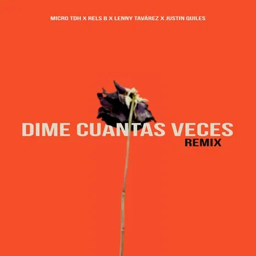 Dime cuantas veces (remix)