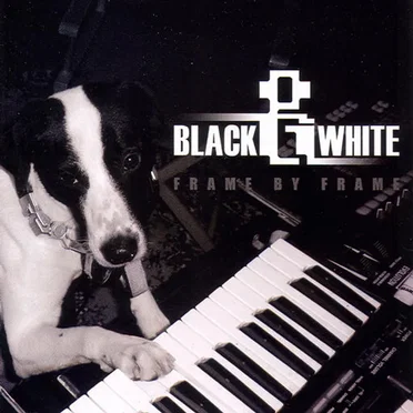 Frame by Frame by Black & White - album cover