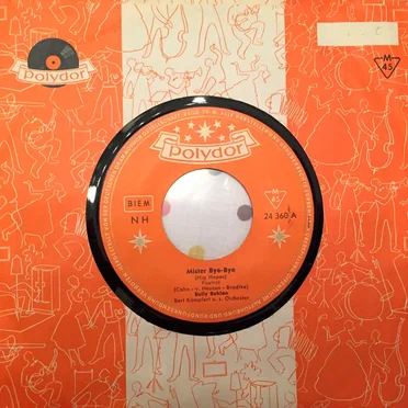 Mister Bye-Bye / Warum soll ausgerechnet ich ein Engel sein