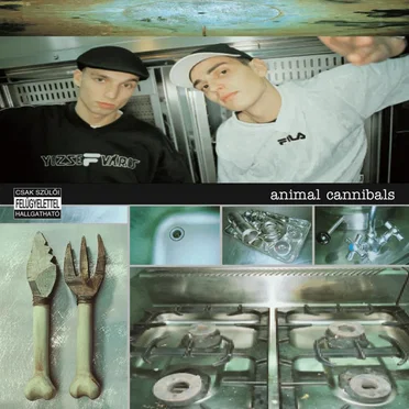 Kés, villa by Animal Cannibals - album cover