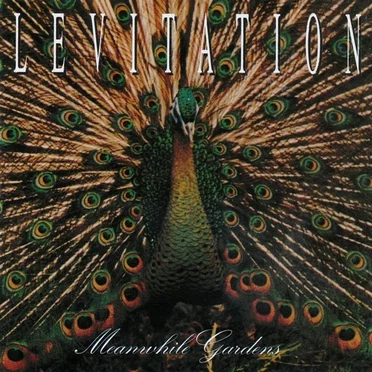 Meanwhile Gardens by Levitation - album cover