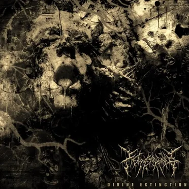 Divine Extinction by Heaven Denied - album cover