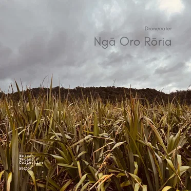 Ngā Oro Rōria by Droneeater - album cover