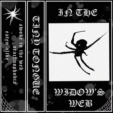 In the Widow’s Web by Tiny Tongue - album cover