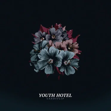 Candyflip by Youth Hotel - album cover